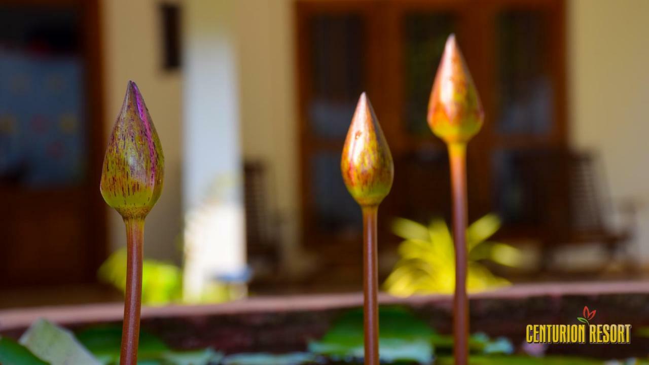 Centurion Resort Хабарана Экстерьер фото